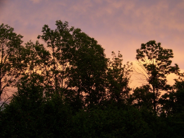 Eastern sky at dusk; Quinte West, Ontario.