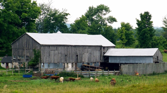 Farm in rural Hamilton Township; Northumberland County, Ontario.